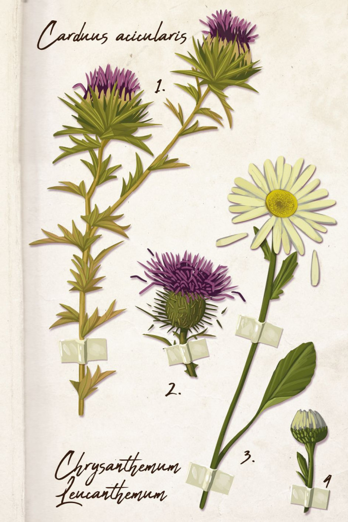 In the Palm of Your Hand